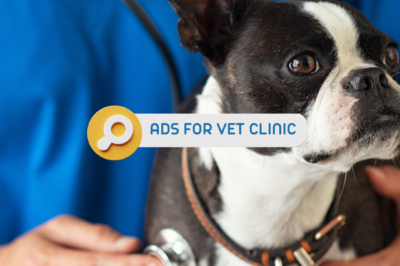 How To Write Ads for Veterinary Clinic: Write Effective Vet Ads